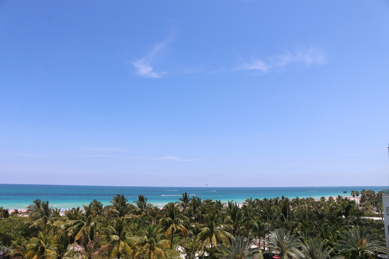 miami staycation top hotels
