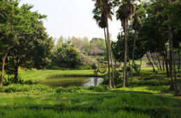 Four Seasons Chiang Mai