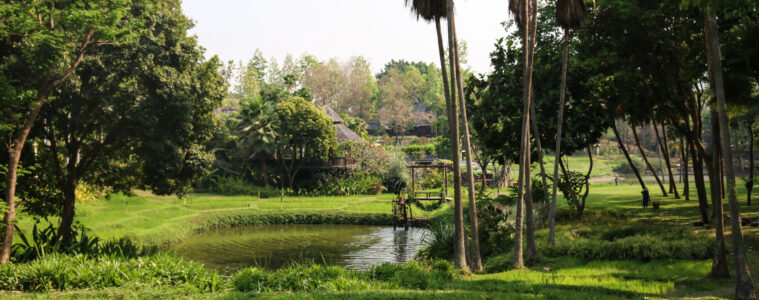 Four Seasons Chiang Mai