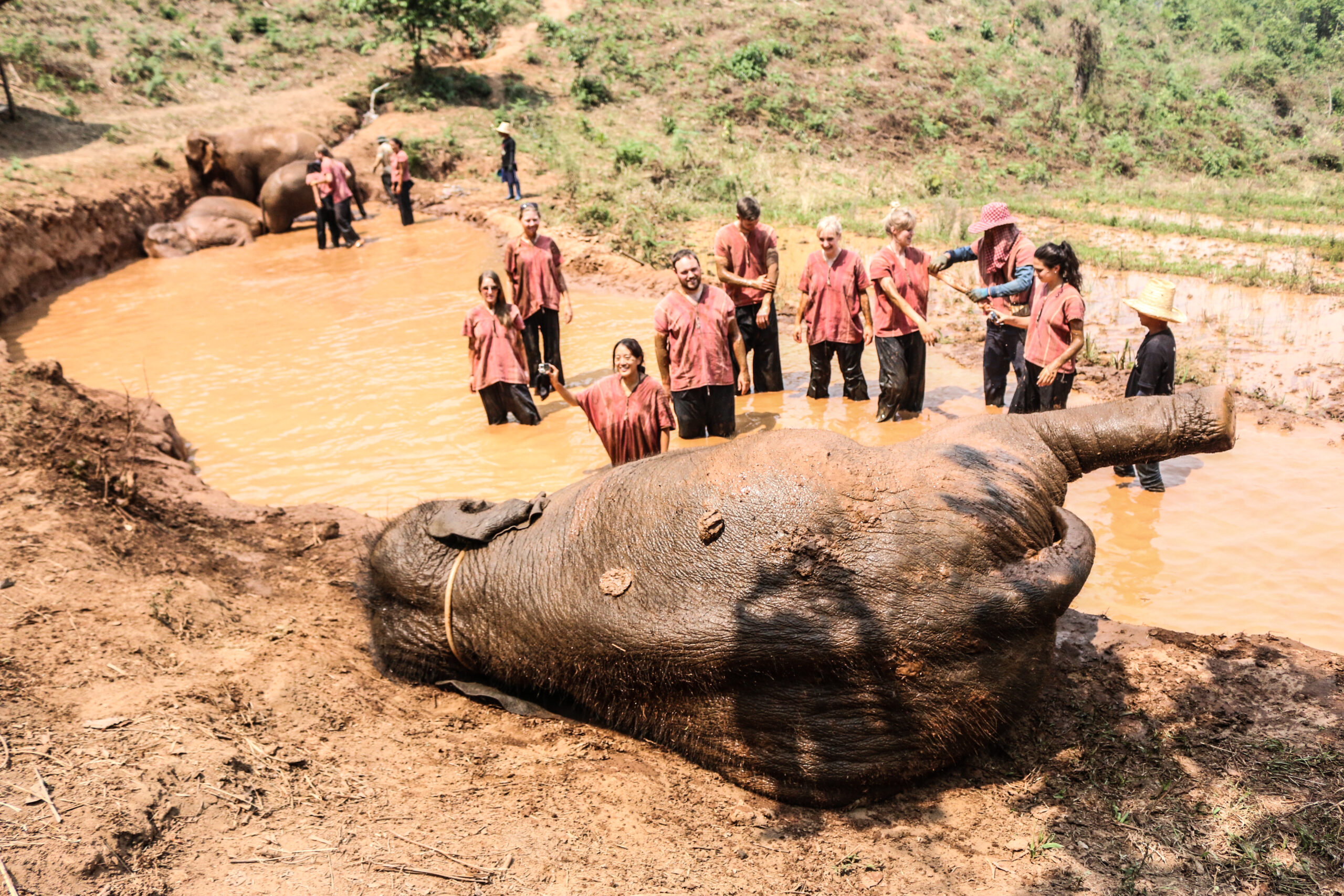 bathe elephants thailand