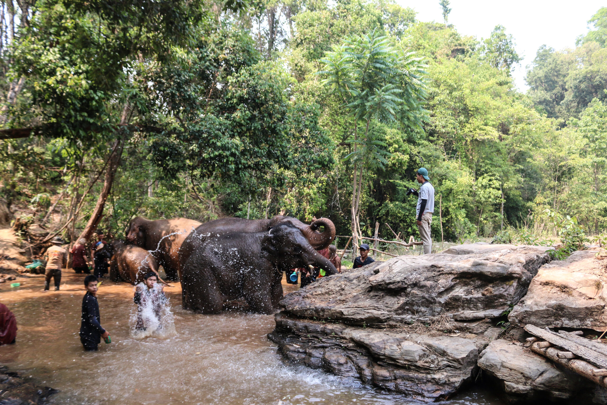 ride elephants in thailand 