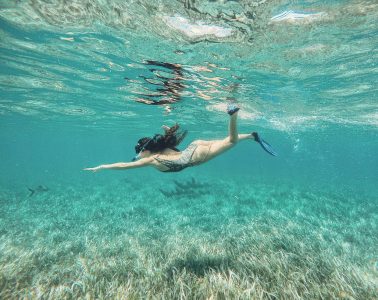 Swimming with sharks in Ambergris Caye, Belize. San Pedro. #swimwithsharks #belize