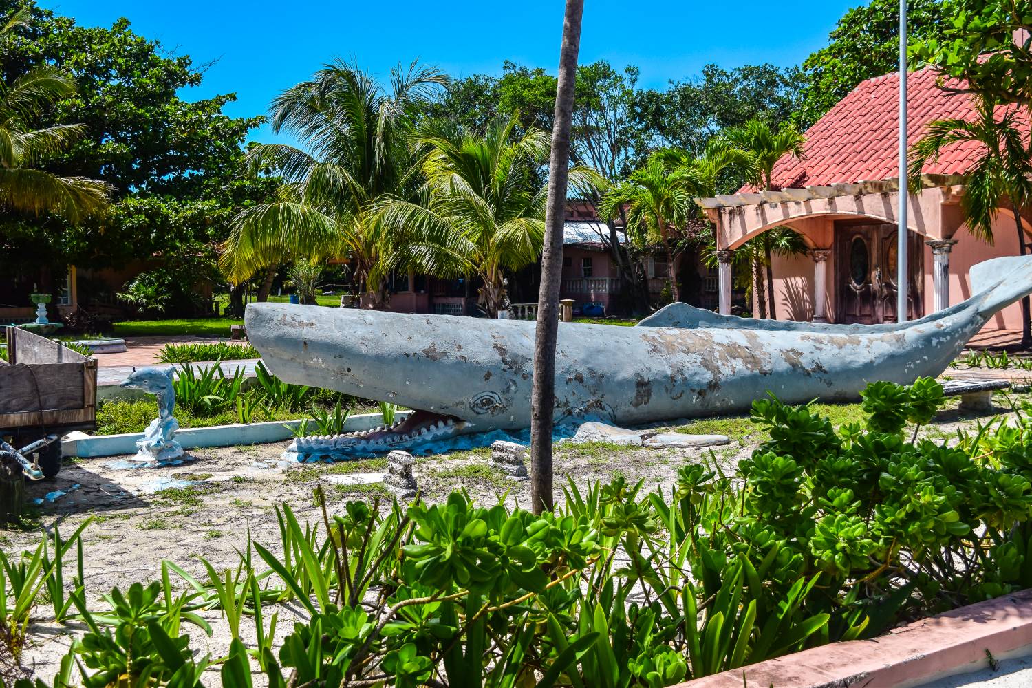 The Most Fascinating, Abandoned Property On Ambergris Caye, Belize - Essene Way