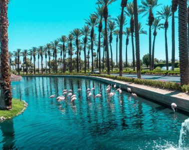 JW Marriott Desert Springs-7