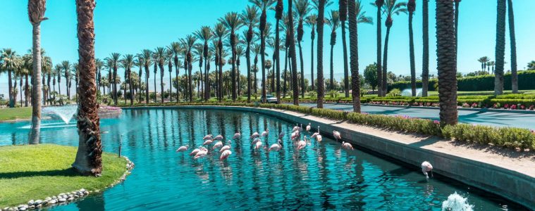 JW Marriott Desert Springs-7