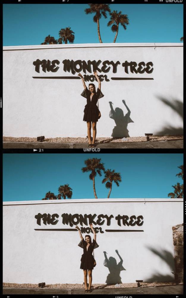 The Monkey Tree Hotel Palm Springs