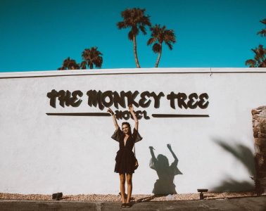The Monkey Tree Hotel Palm Springs