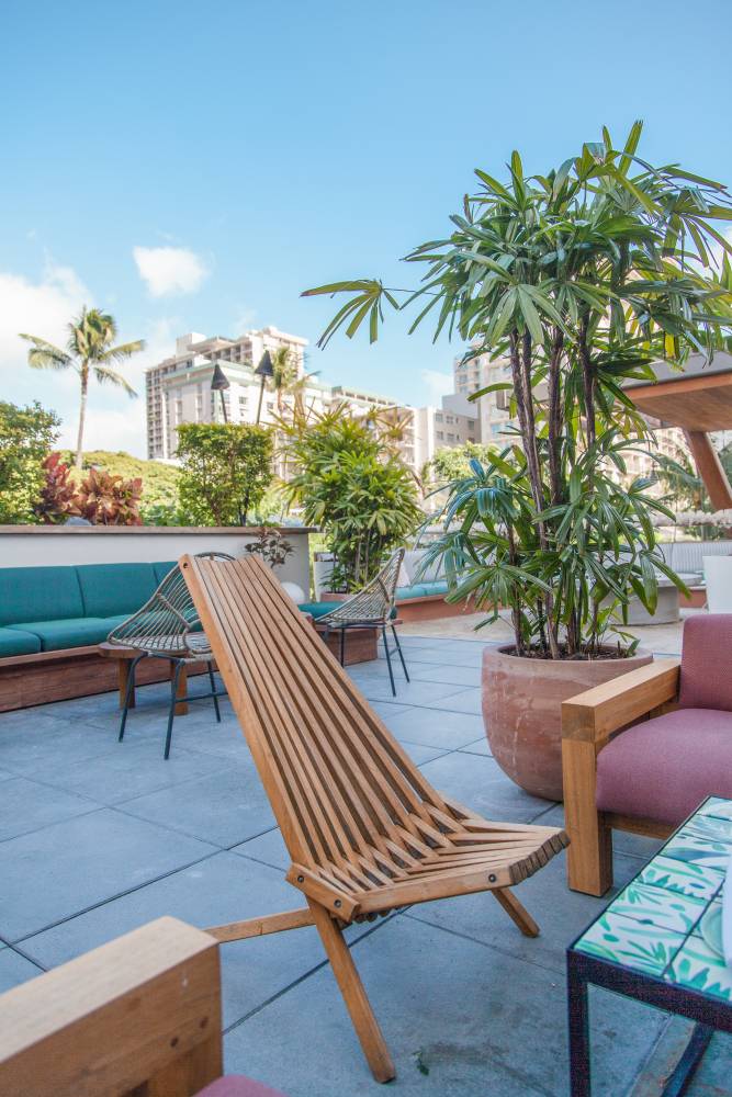 Laylow Waikiki Is The Most Chill Hotel In Honolulu