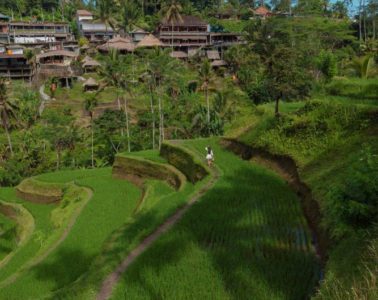 Ubud Selfie Park