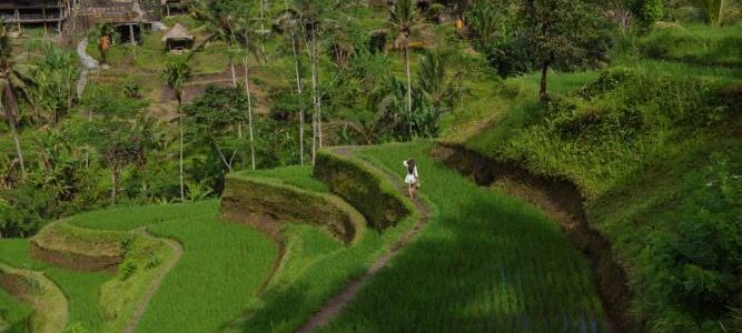 Ubud Selfie Park