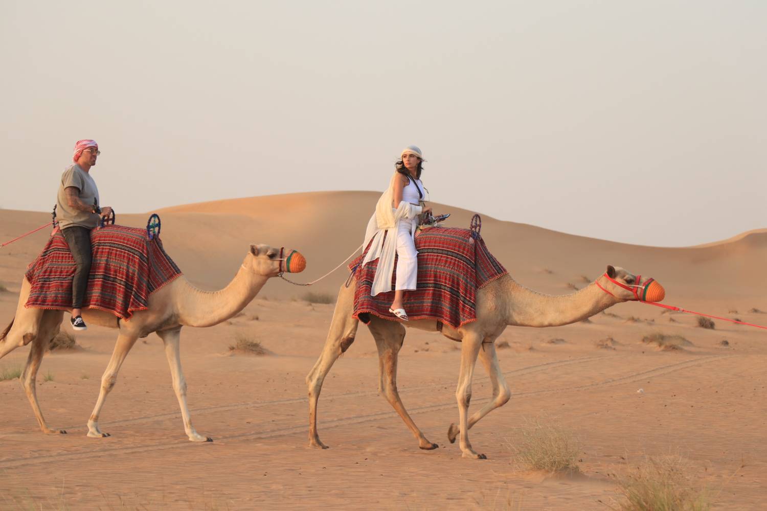 I Found The Most Ethical, Luxurious & Best Desert Safari in Dubai - Platinum Heritage Dubai