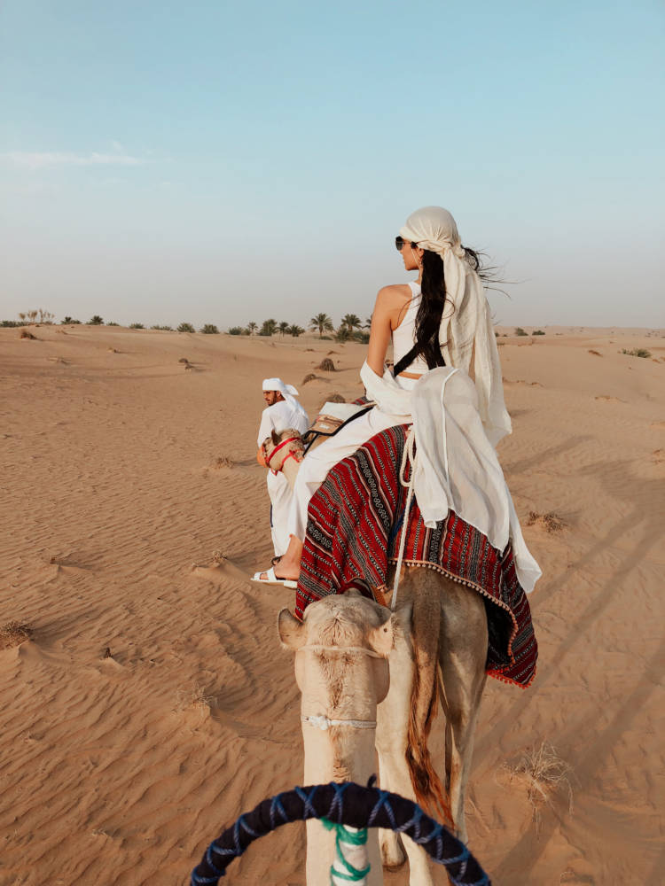 I Found The Most Ethical Luxurious Best Desert Safari In Dubai