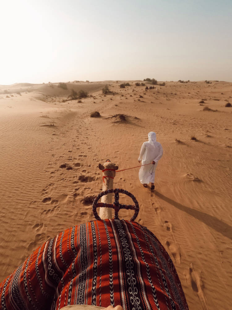 I Found The Most Ethical, Luxurious & Best Desert Safari in Dubai