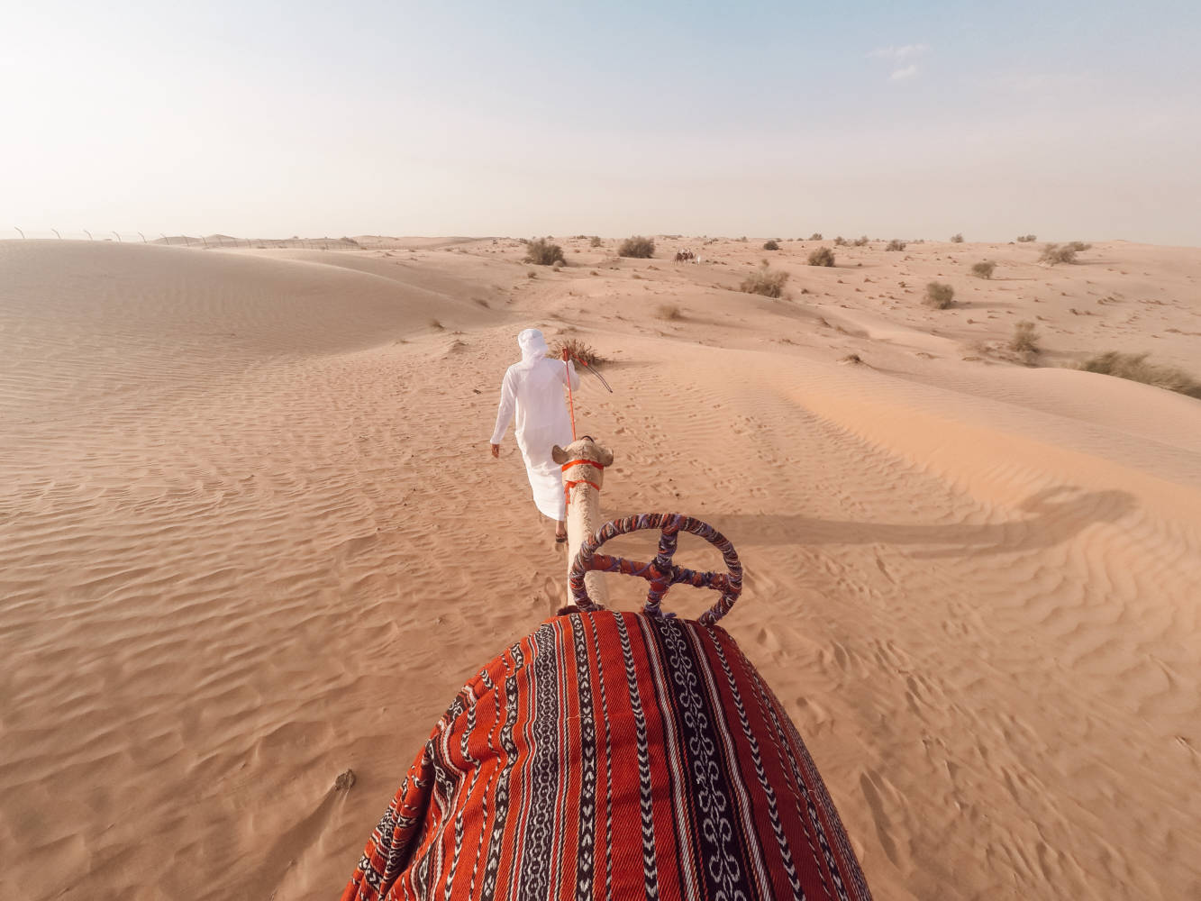 I Found The Most Ethical, Luxurious & Best Desert Safari in Dubai - Platinum Heritage Dubai