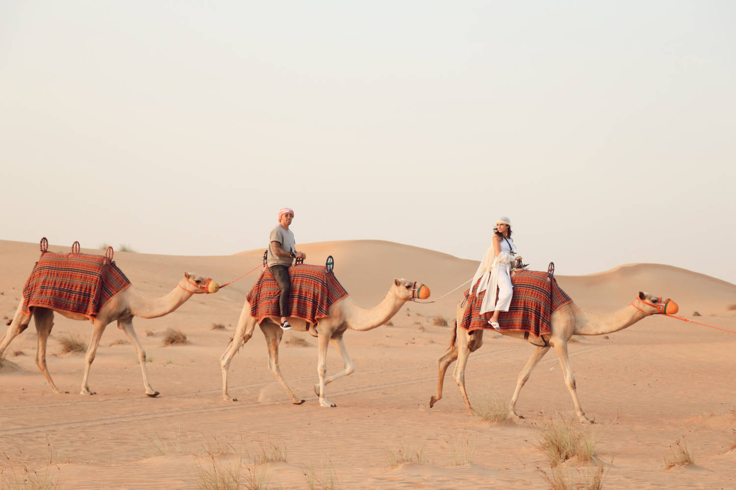 I Found The Most Ethical, Luxurious & Best Desert Safari in Dubai - Platinum Heritage Dubai