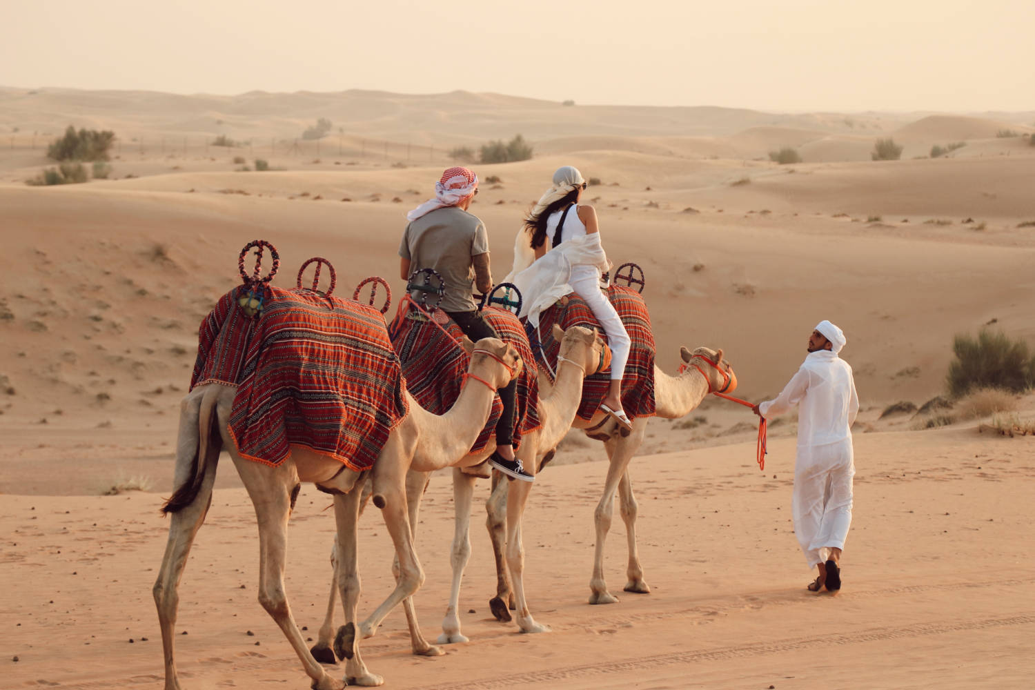 I Found The Most Ethical, Luxurious & Best Desert Safari in Dubai - Platinum Heritage Dubai