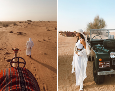 The Ultimate Dubai Travel Guide | Dubai Aquarium