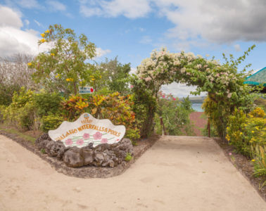 Our Stay At The Most Exclusive Resort In Cebu - Badian Island Wellness Resort