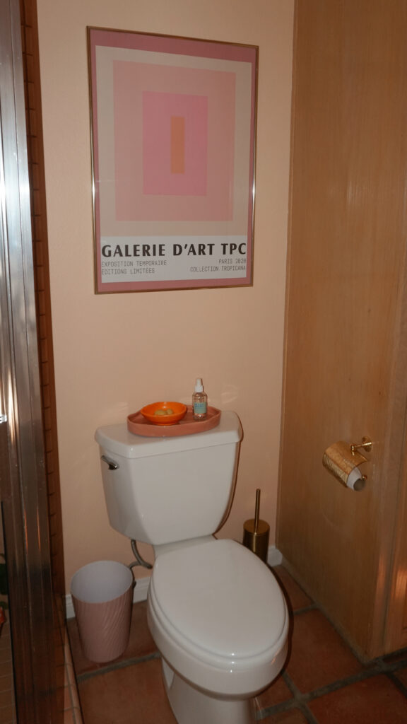 eclectic pink tile bathroom