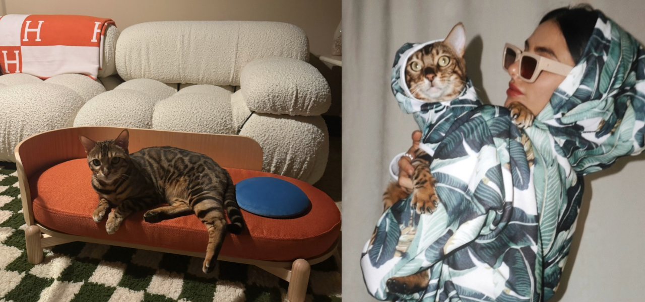 best indoor cat toys