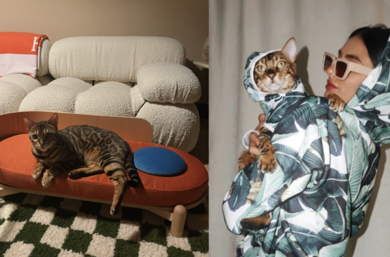 best indoor cat toys