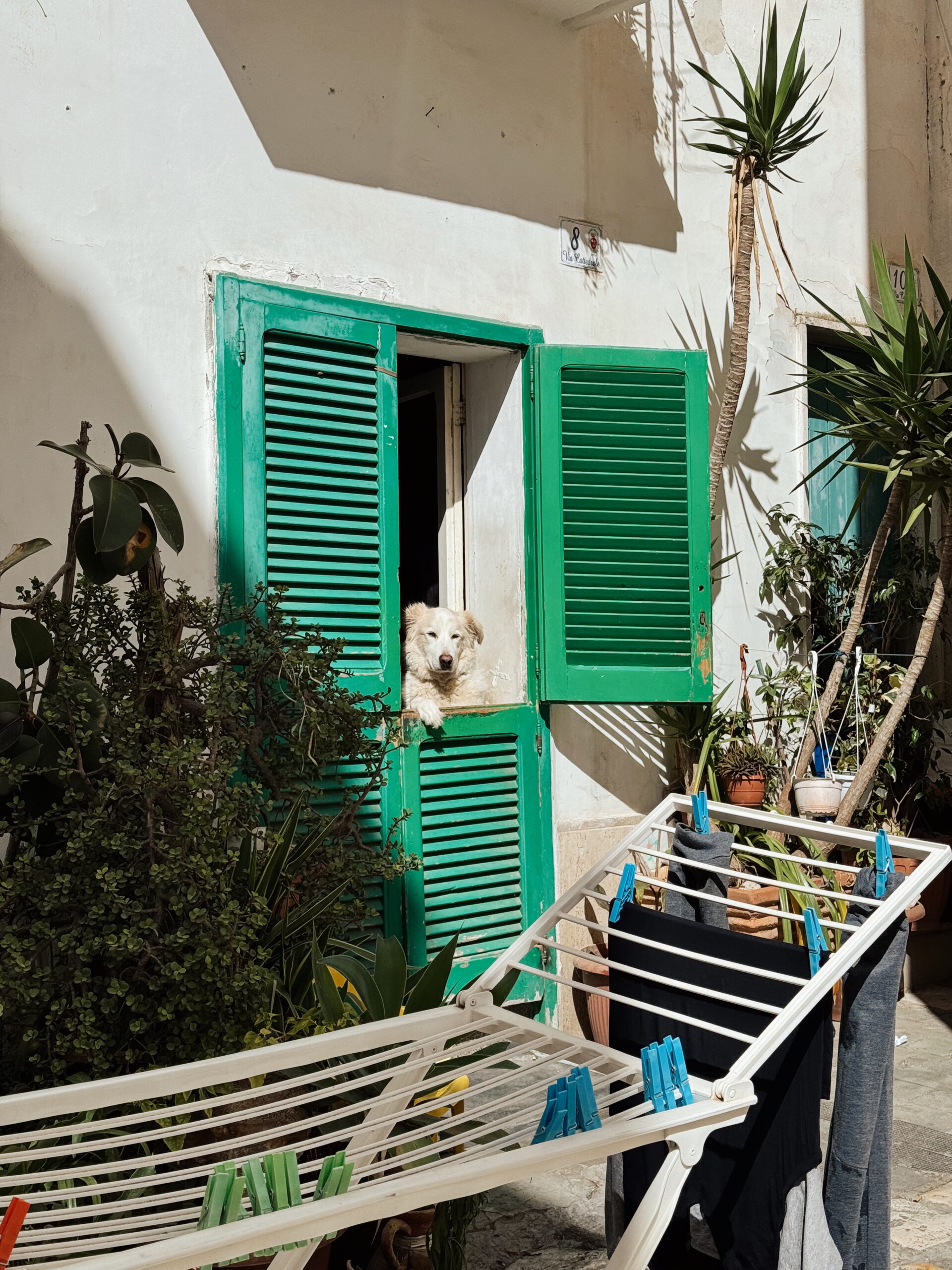 What to do & see in Monopoli Puglia Italy travel itinerary and guide