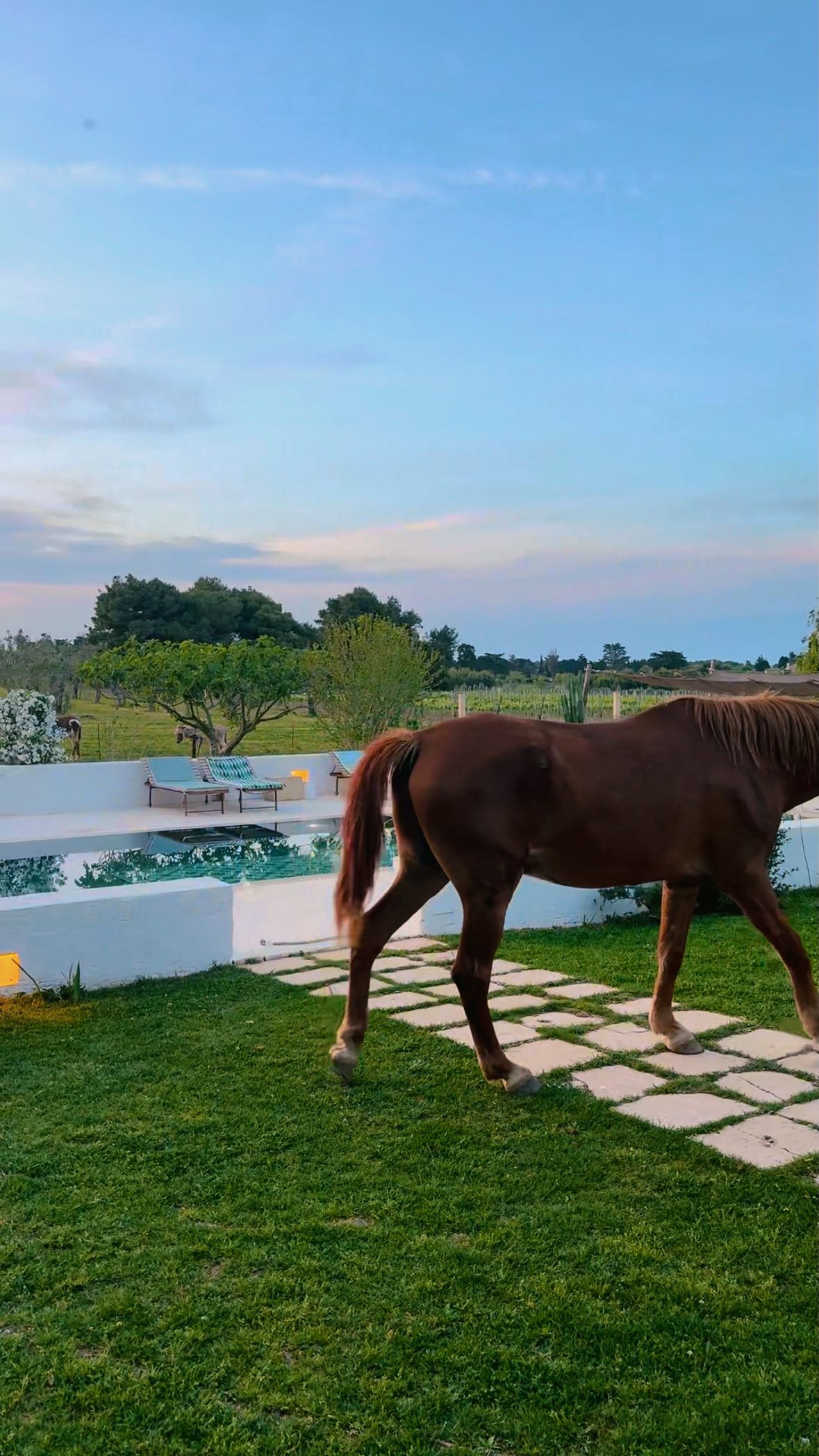 Masseria Prosperi Luxury Boutique Hotel Otranto Puglia Italy