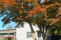 Hudson Valley Airbnb