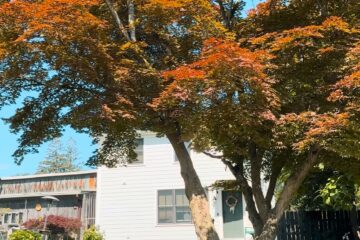 Hudson Valley Airbnb