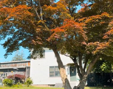 Hudson Valley Airbnb