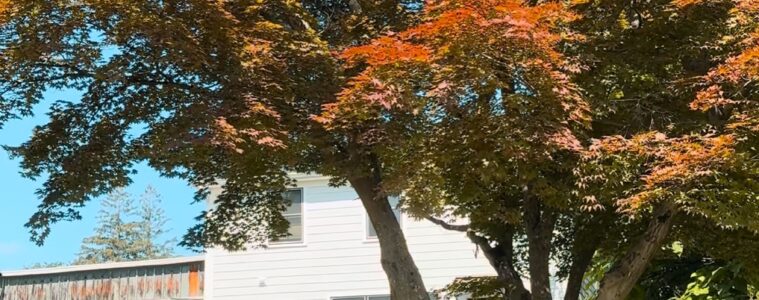 Hudson Valley Airbnb