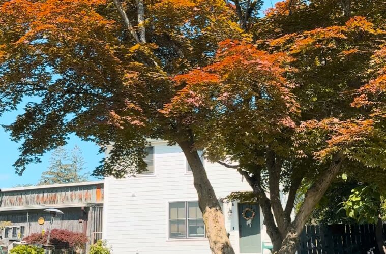 Hudson Valley Airbnb