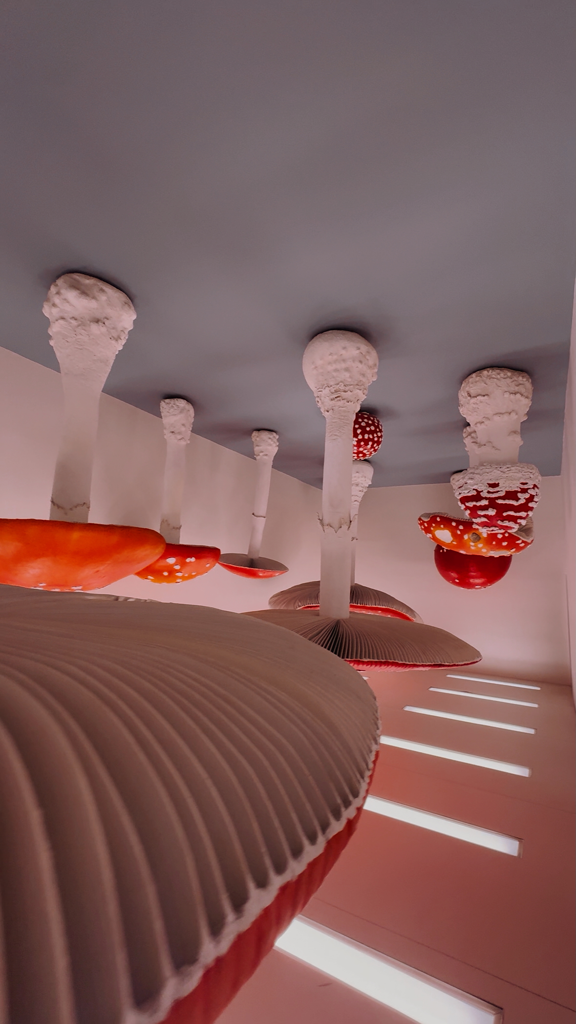 mushroom museum milan