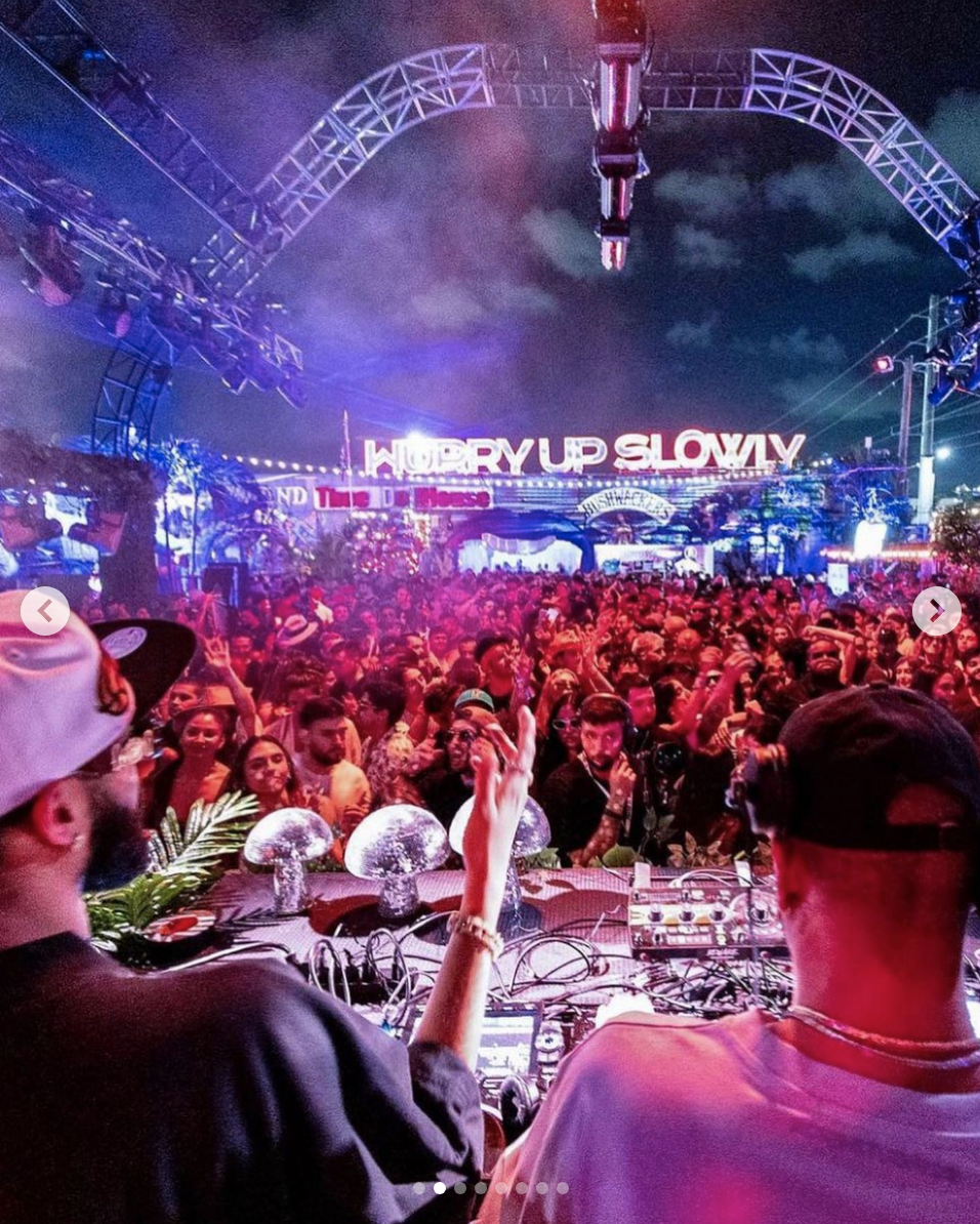 disco ball mushrooms