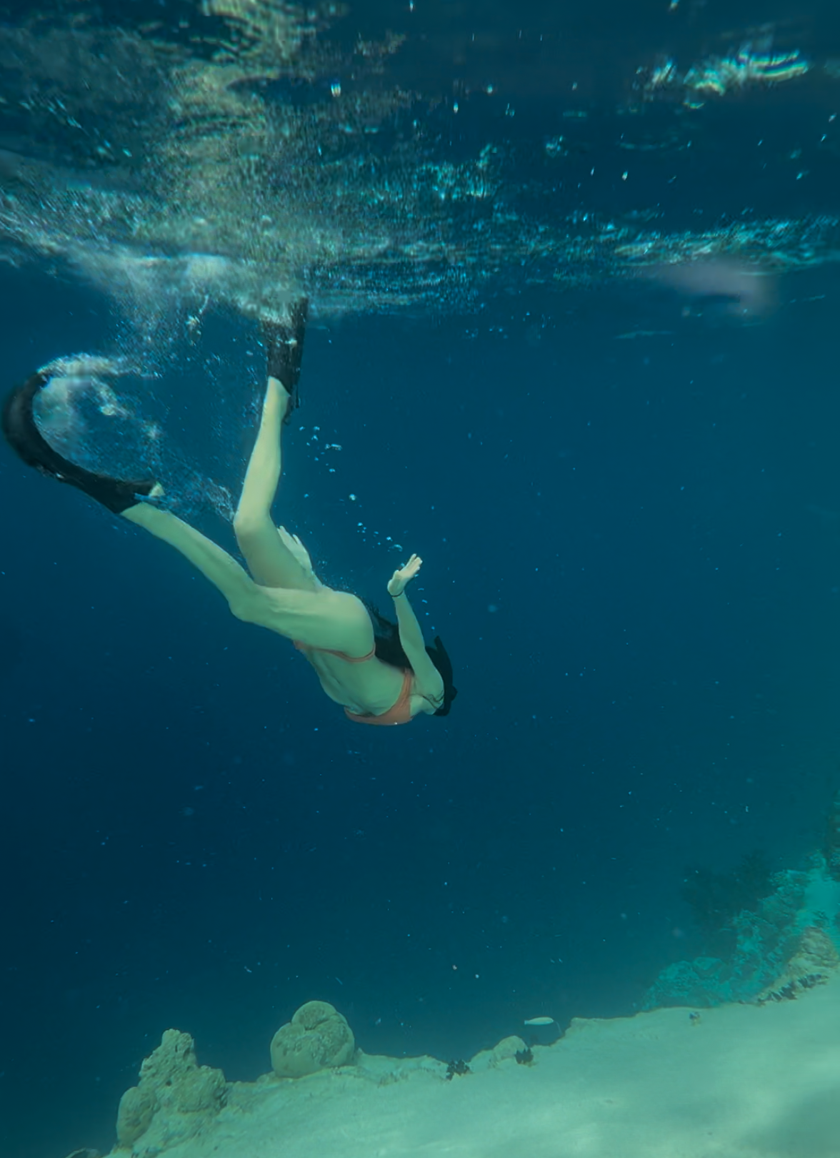 snorkel Maldives best things to do amy marietta