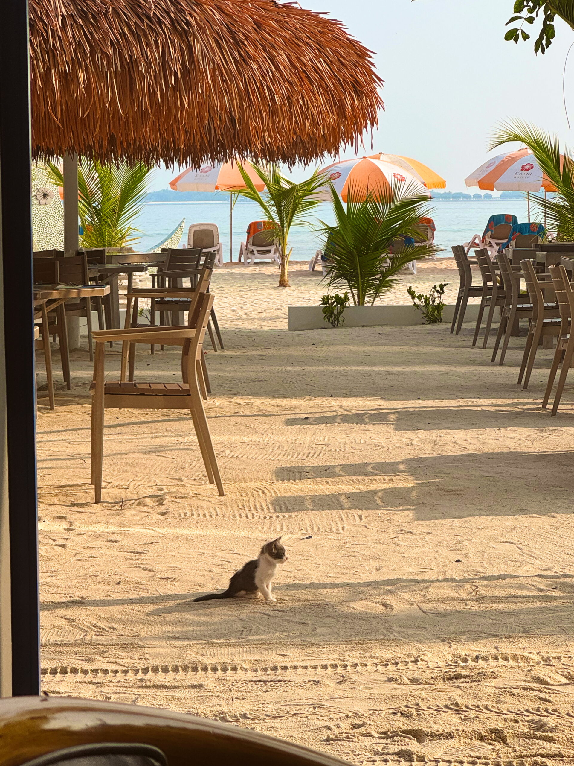 Maldives Itinerary & Travel Guide: Best Things to Do