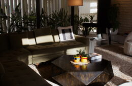Palm Springs Travel Guide & Itinerary - amy marietta
