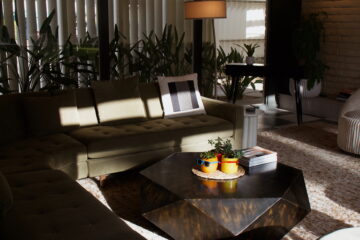 Palm Springs Travel Guide & Itinerary - amy marietta