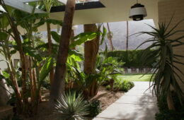 Palm Springs Travel Guide & Itinerary - amy marietta