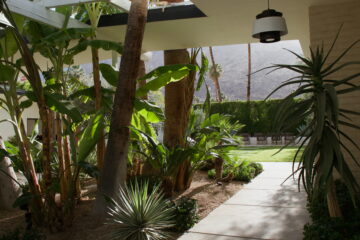 Palm Springs Travel Guide & Itinerary - amy marietta
