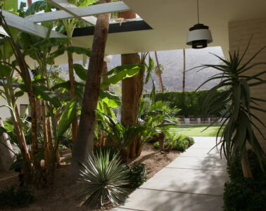 Palm Springs Travel Guide & Itinerary - amy marietta