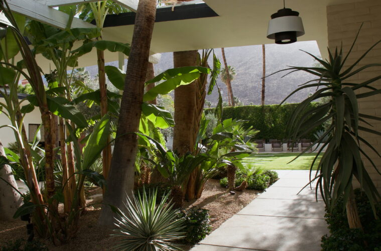 Palm Springs Travel Guide & Itinerary - amy marietta