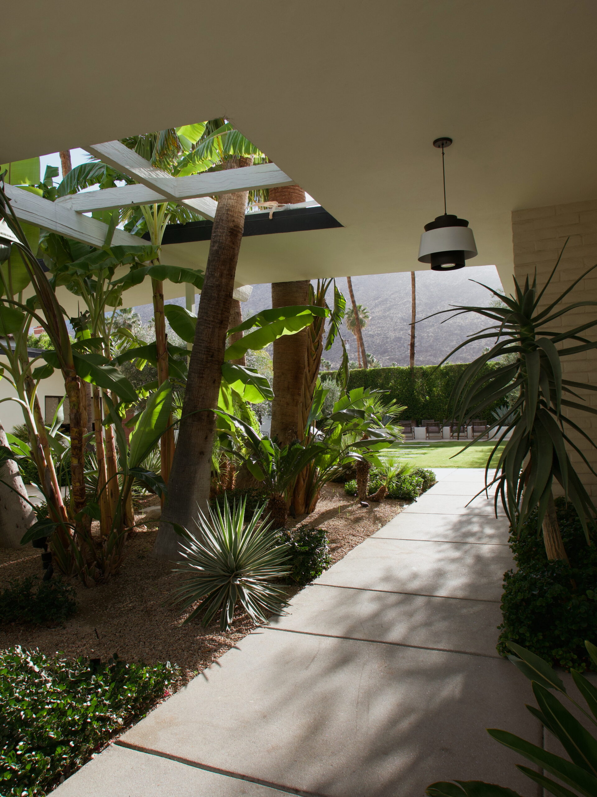 Palm Springs Travel Guide & Itinerary - amy marietta