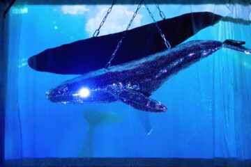 mirrored whale sculpture