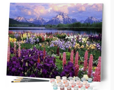 paint by numbers kit